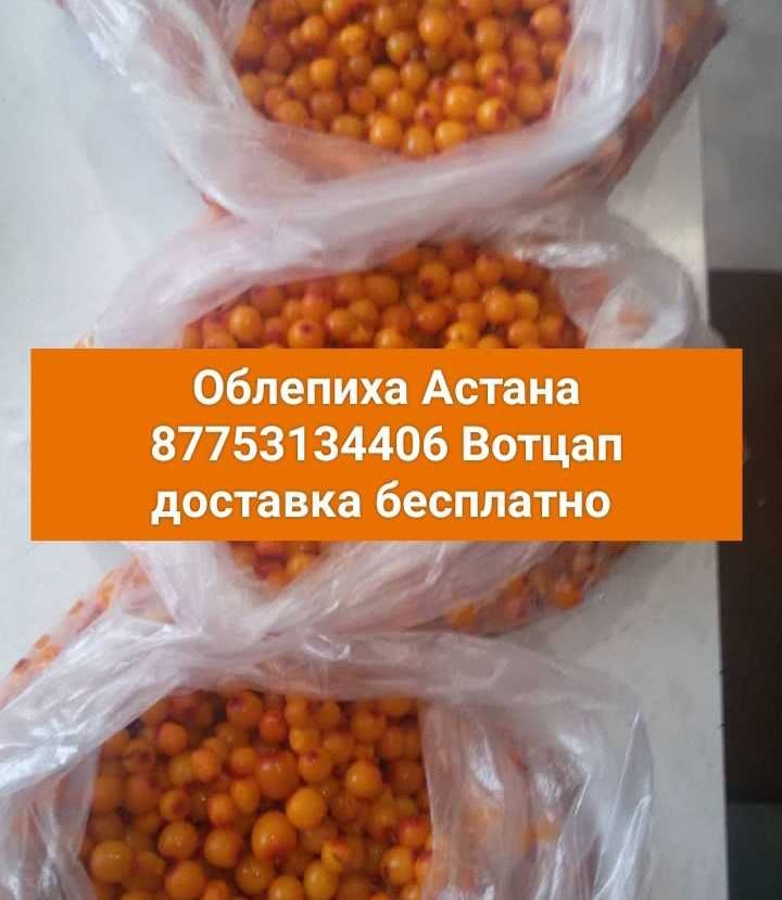 Доставка бесплатно Облепиха ягоды жидектер