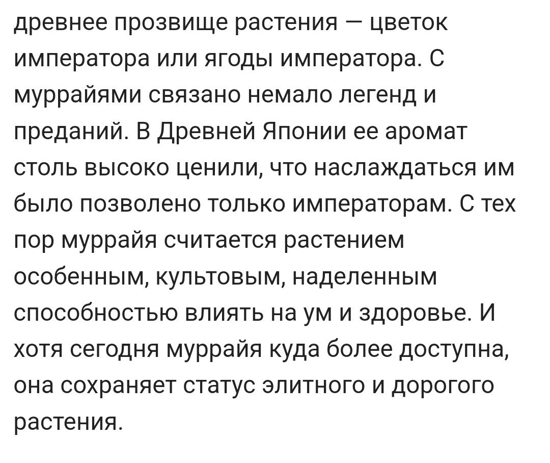 Продам  саженцы мурайи