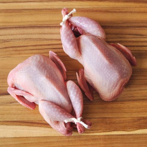 Продам мясо перепелов