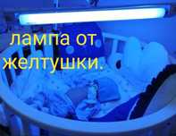 Лампа от желтушки. Желтушка.