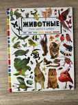 Книга Животные. Учим цвета и цифры