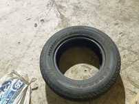 Шипы зимние Himalaya Federal R18