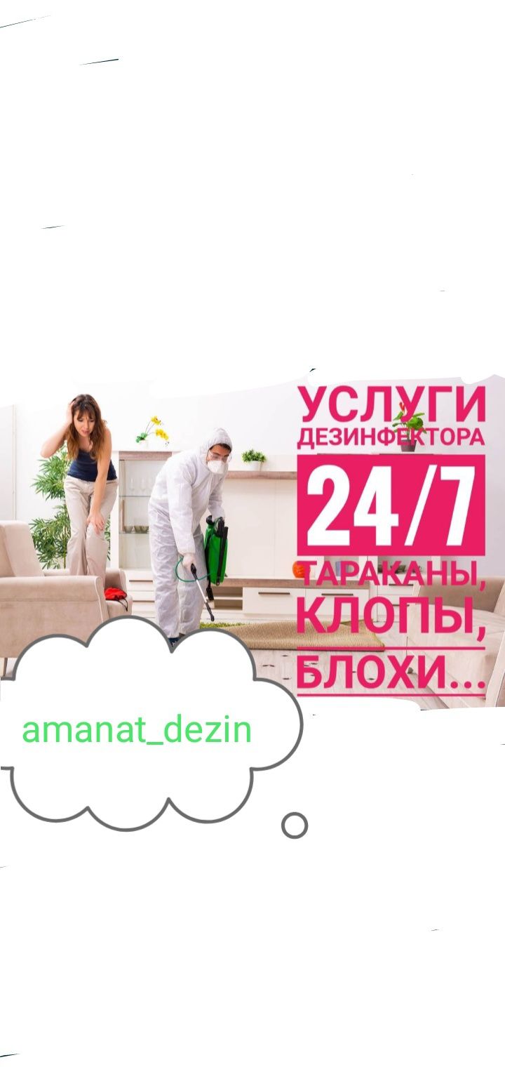 Уничтожение крыс грызунов