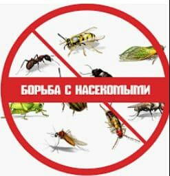 Обработка в УРАЛЬСКЕ ! Холодным Туманом! С Запахом и Без Запаха!