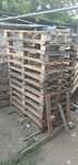 Продам поддоны и  щиты для забора 700 тенге.