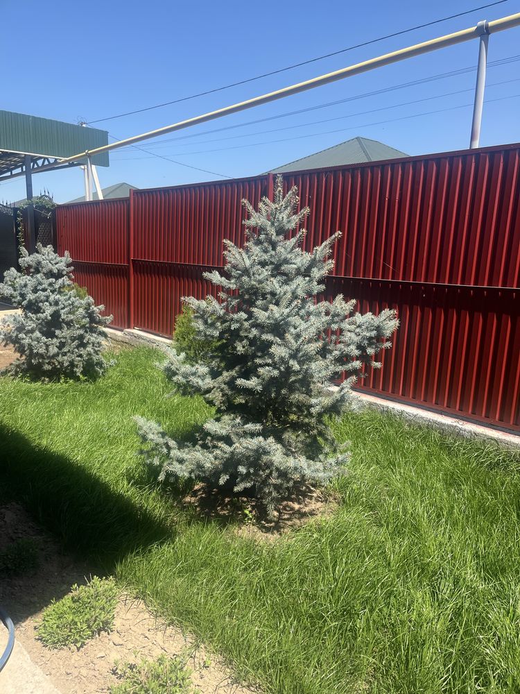 Продам дом в 20 км от Алматы  в Каскелене