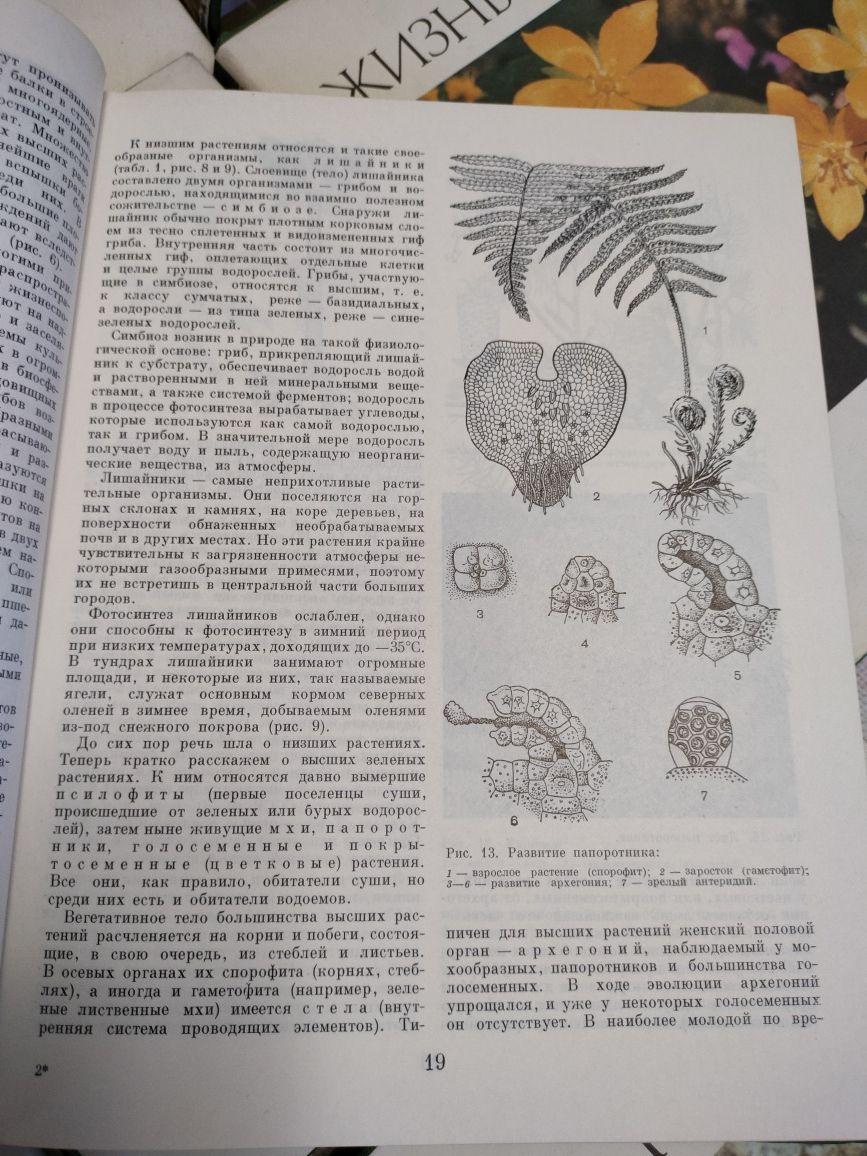 Книга Жизнь растений. Энциклопедия в 6 томах