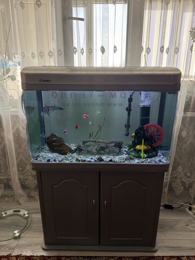 Аквариум с рыбками