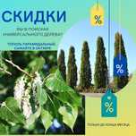Тополя , кустарники , Ели , сосны