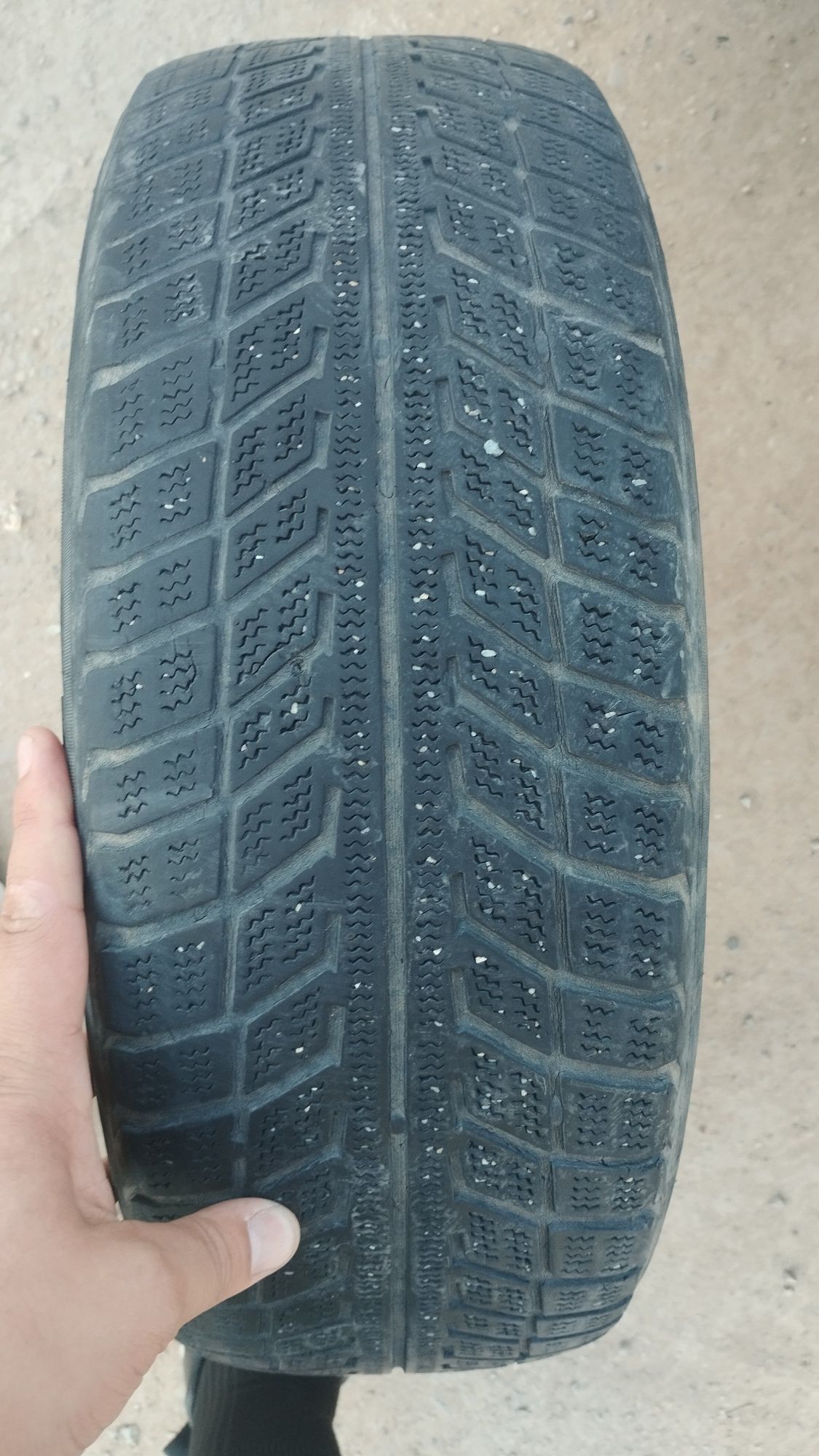 Продам покрышки r15