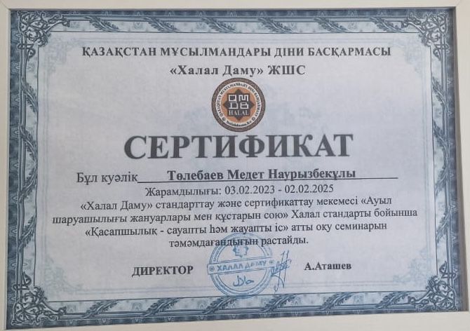 Мясо говядина и конина (жіліктеме ет)
