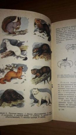Старинная Книга энциклопедия Справочник охотника 1964 с илюстрациями
