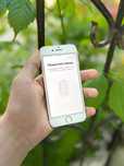 Iphone 7 срочна договор