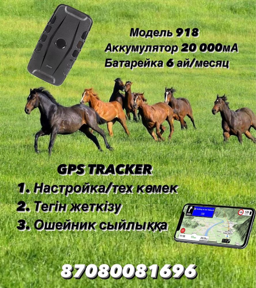 ЖПС трекер