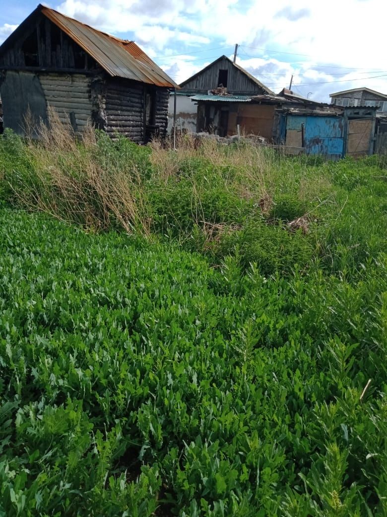 СРОЧНО! Продам земельный участок со старым домом в центре Щучинска