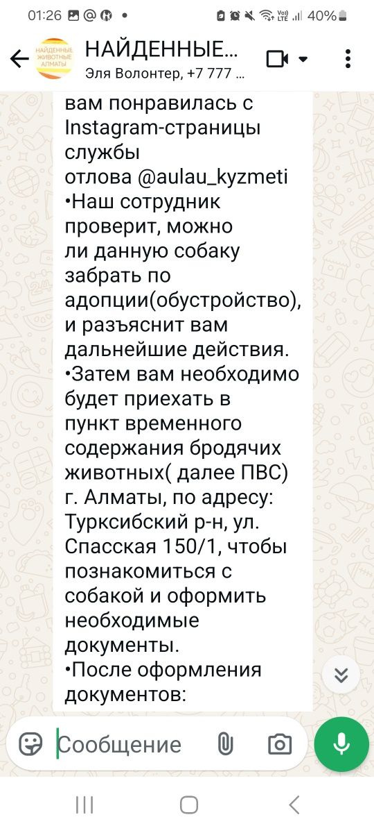 Потерянные найденные котики кошечки котята породистые дворняжки и щенк