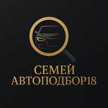 Проверка пробега. Эндоскопия двигателя. Толщины лкп