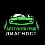 Автоэлектрик диагност