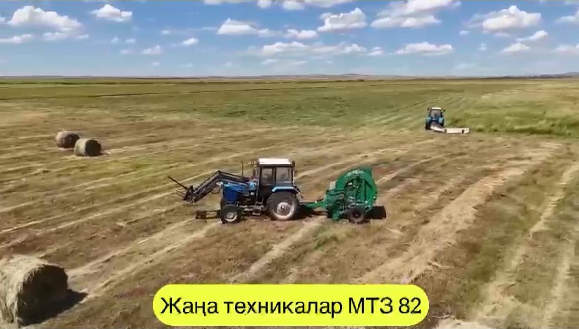 Крестьянское хозяйство