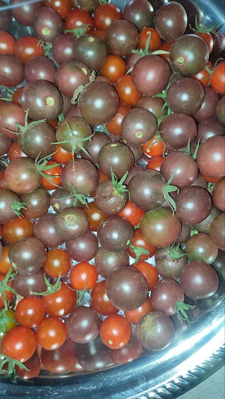 Продам дачные овощи