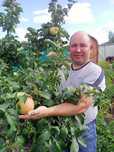 Продам Дачу Мечты в ПК СТ Борки