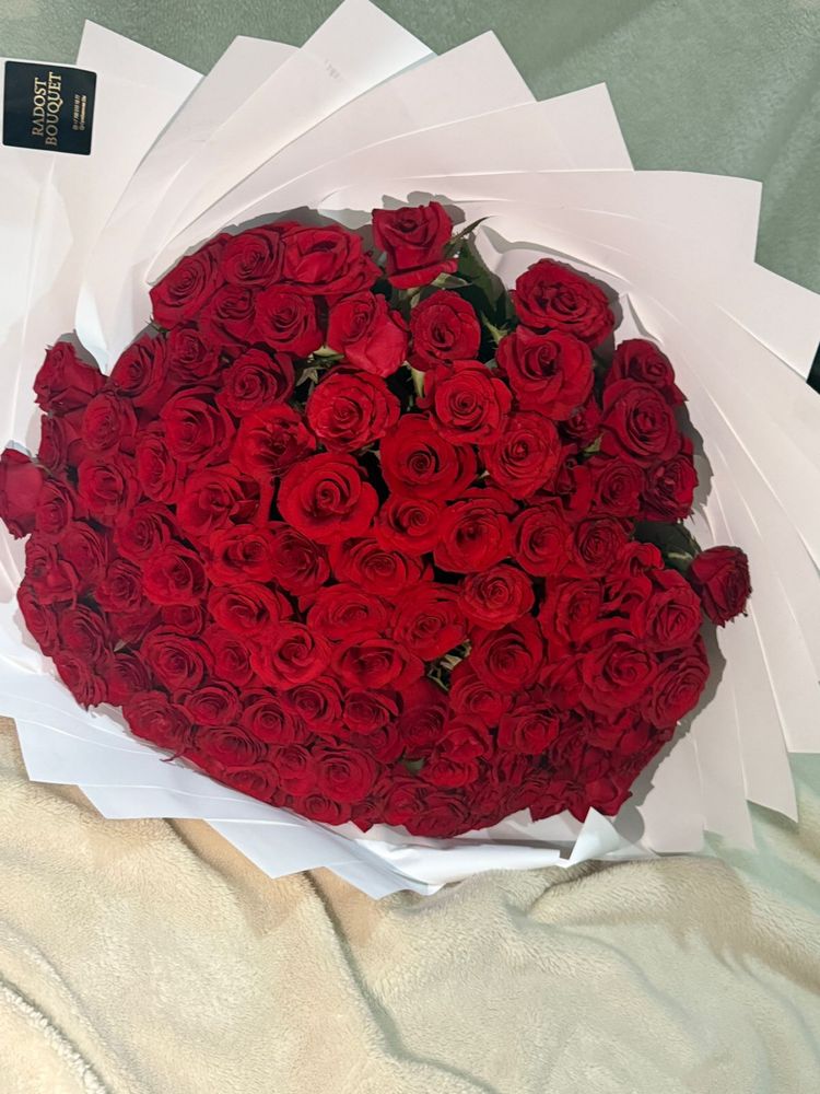 101 алых роз-язык любви