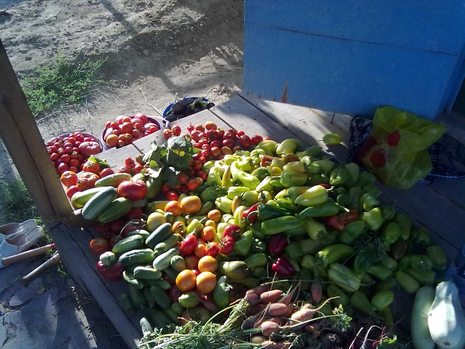 Продам дачный участок