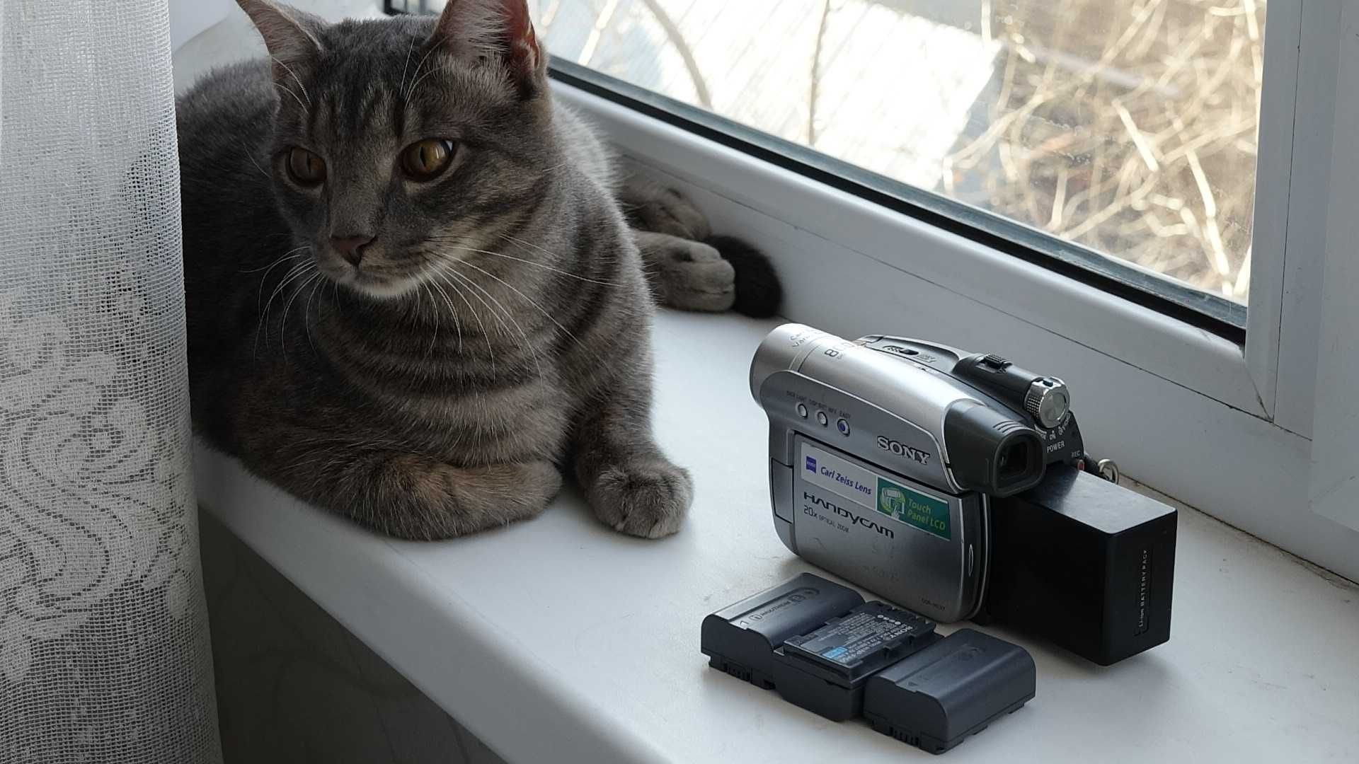 Sony кассетная(miniDv)перешлю в ваш регион.оцифровка любого формата