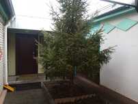 Частный дом в центре