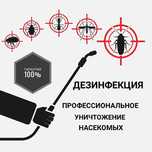 Мы работаем на результат! ГАРАНТИЯ! Клопы, тараканы. Дезинфекция.