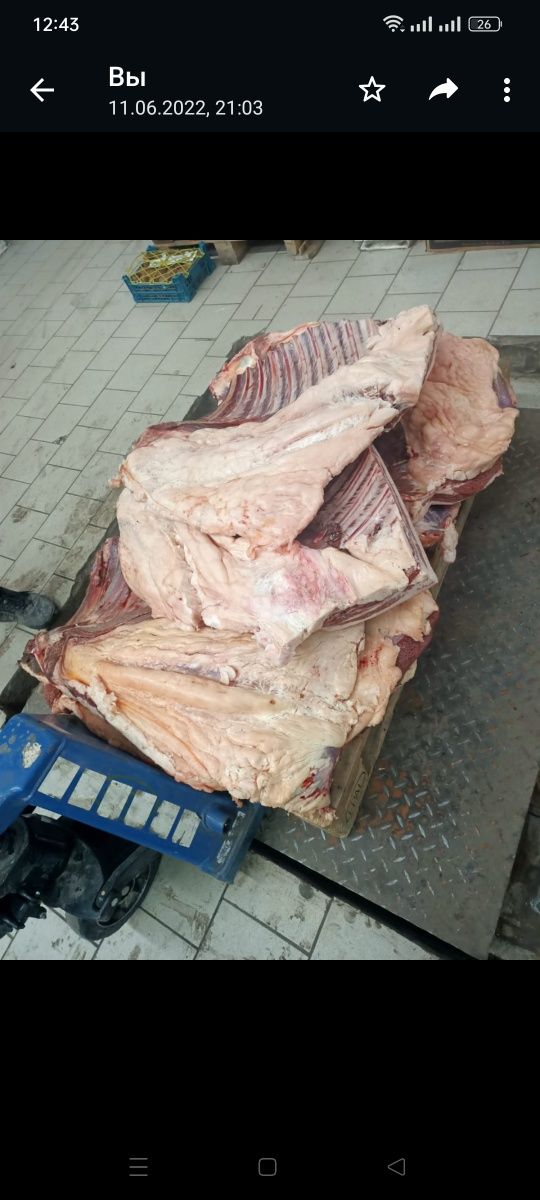 Казы, конина на рёбрах халял
