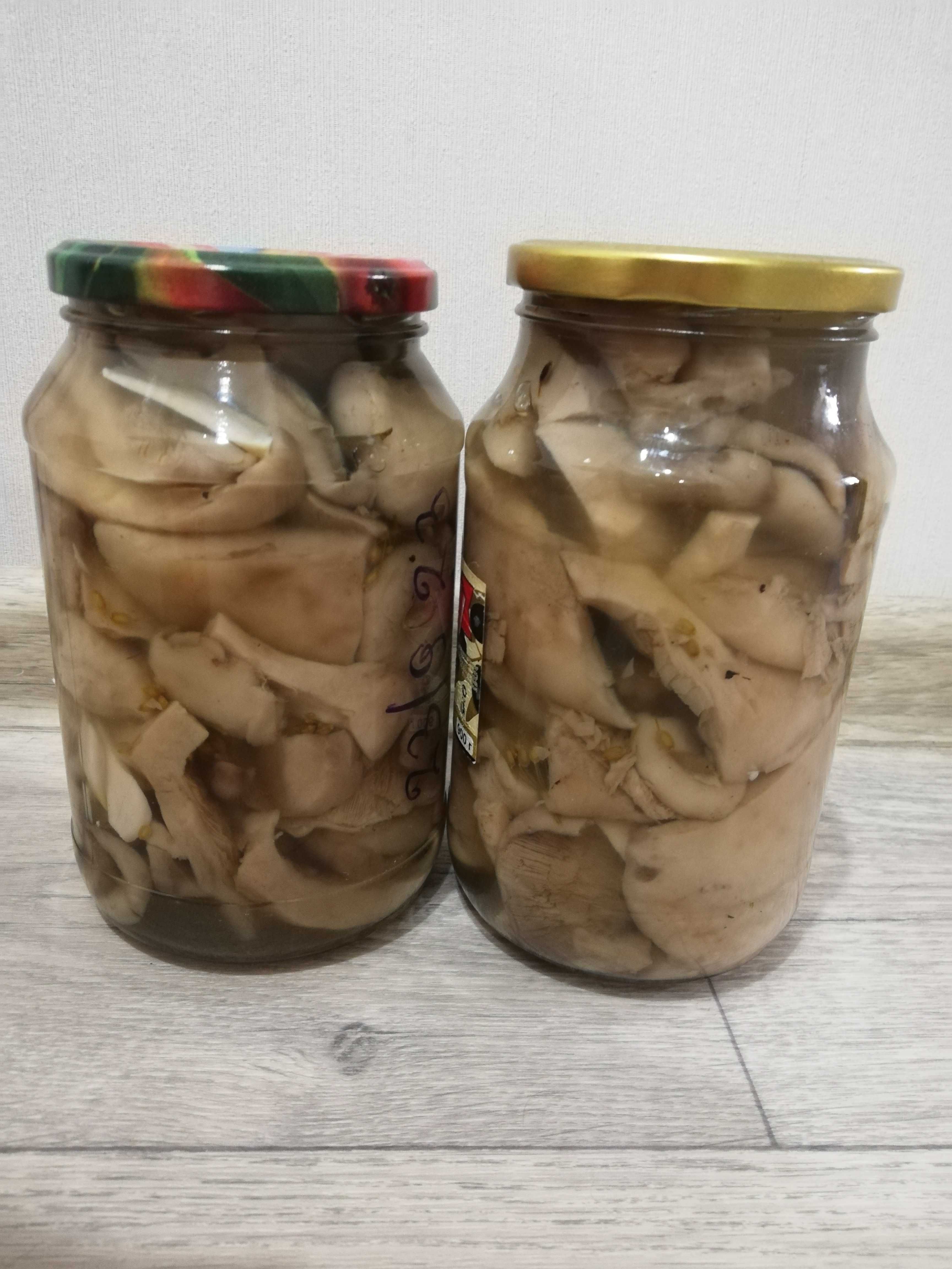 Грибы подтопольники, вешенки, грузди