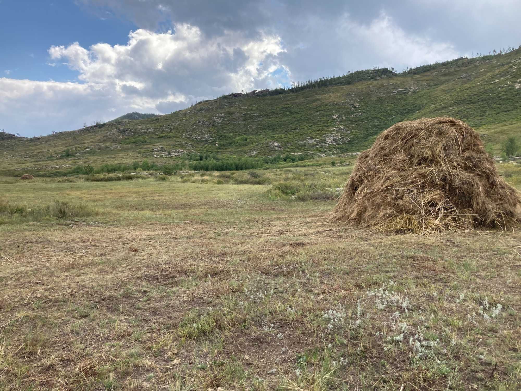 Продажа  красивейшего участка площадью  4 га
