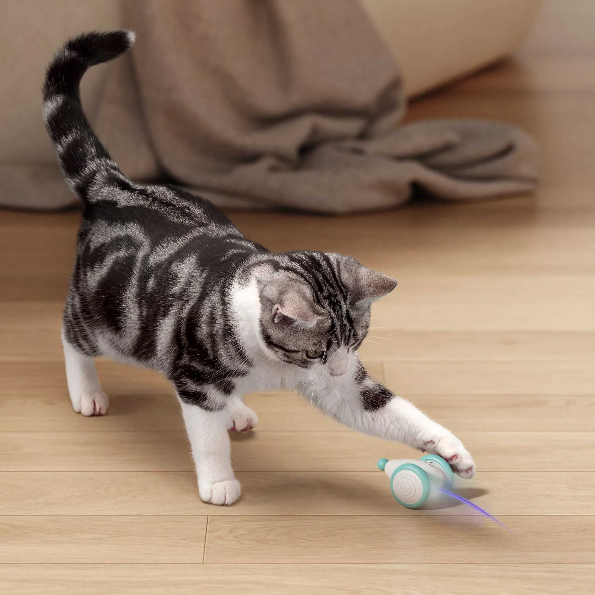 Автоматическая кормушка кошек или небольших собак Petlibro Air