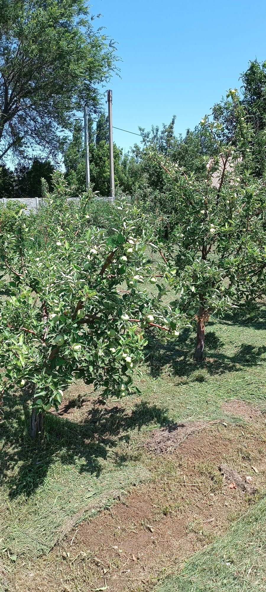 Продам 2 участка по 8 соток.  Цена 6,5 млн.тг за каждый