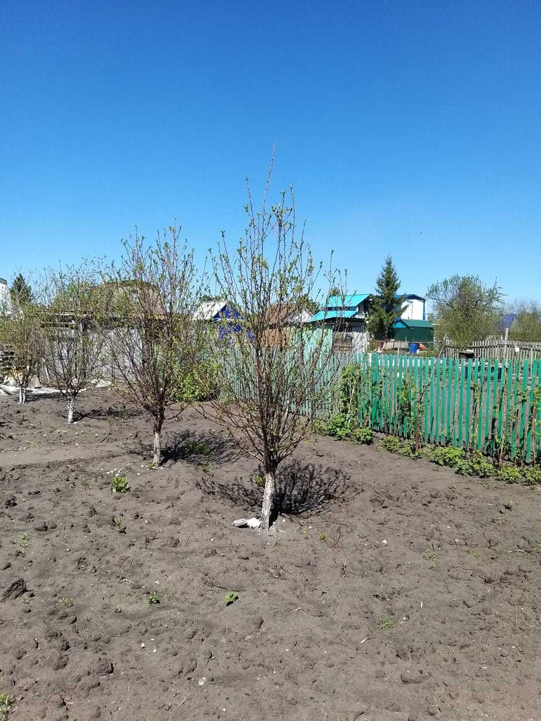 Дача садовое общество Гудок