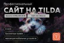 Создание сайтов под вашу нишу на Тильде от 70 000 тенге по Алмате