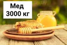 Продам натуральный мед