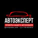 Автоподбор/Проверка авто/Толщиномер/Диагностика авто/Эндоскоп/Электр