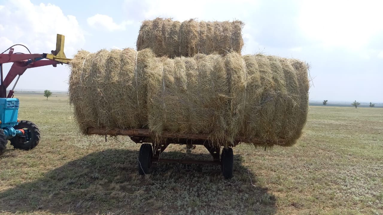 Продам прицеп 1-ПТУ-4