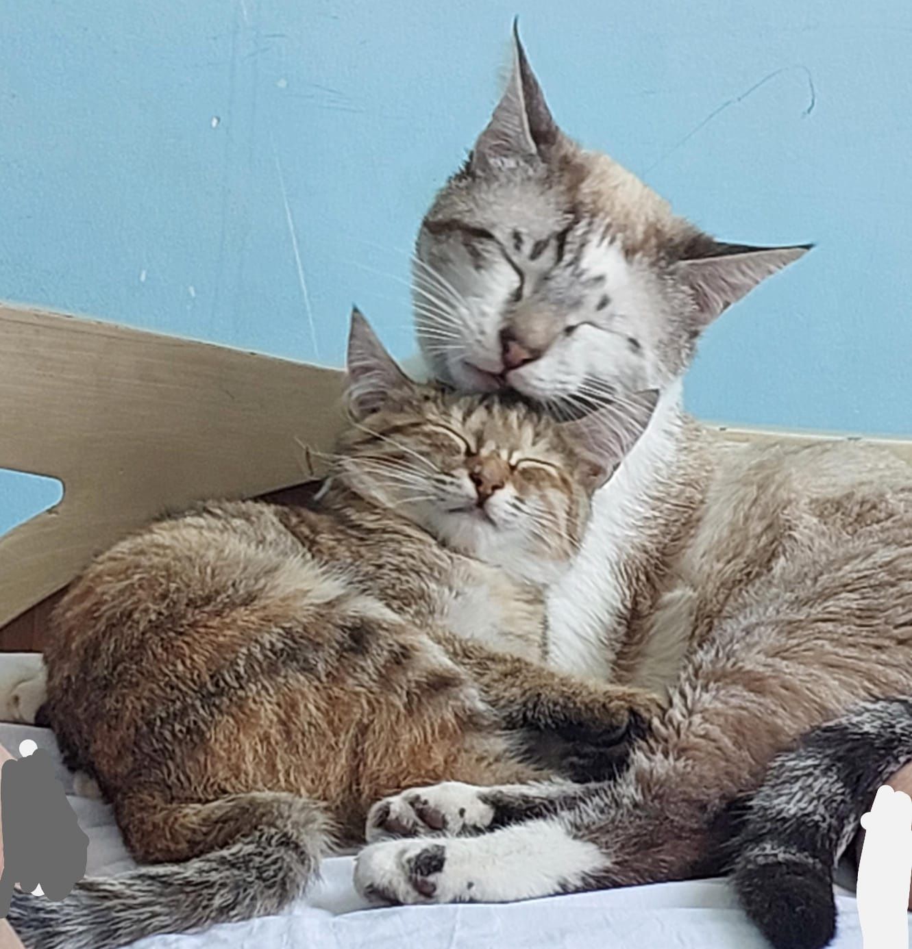 Людям с золотым сердцем