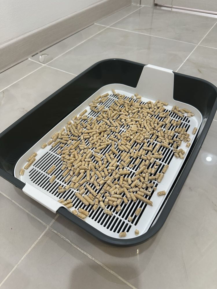 Продам котёнка с полным комплектом в добрые руки