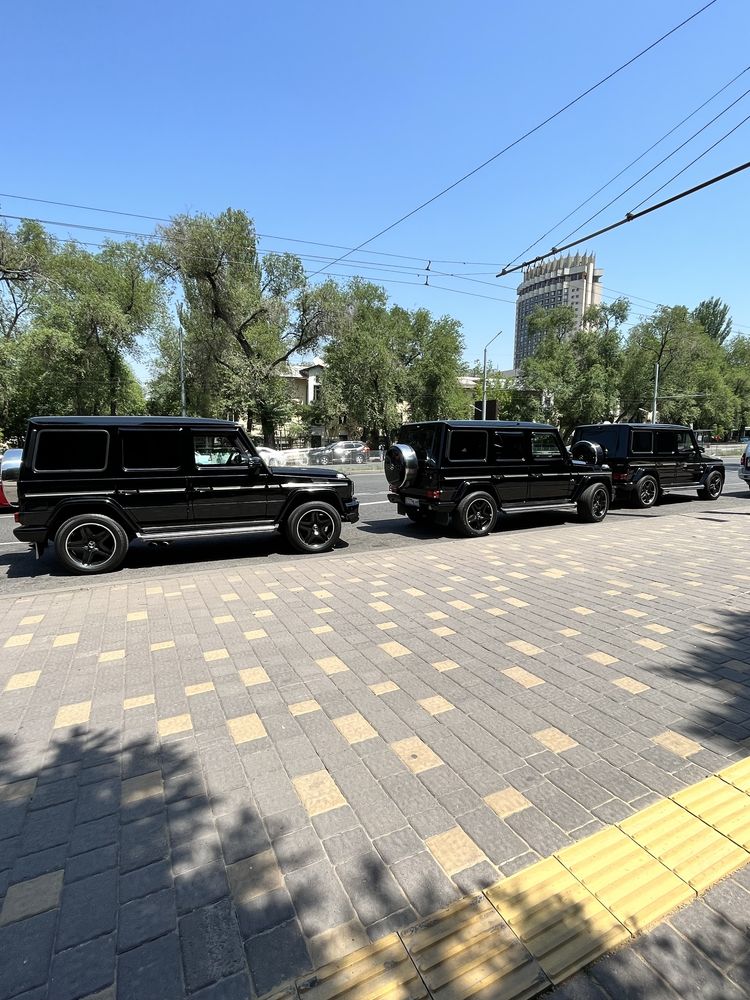 Той,гулянка,кыз узату,выписка роддом,встреча аэропорт,трансфер,бизнес