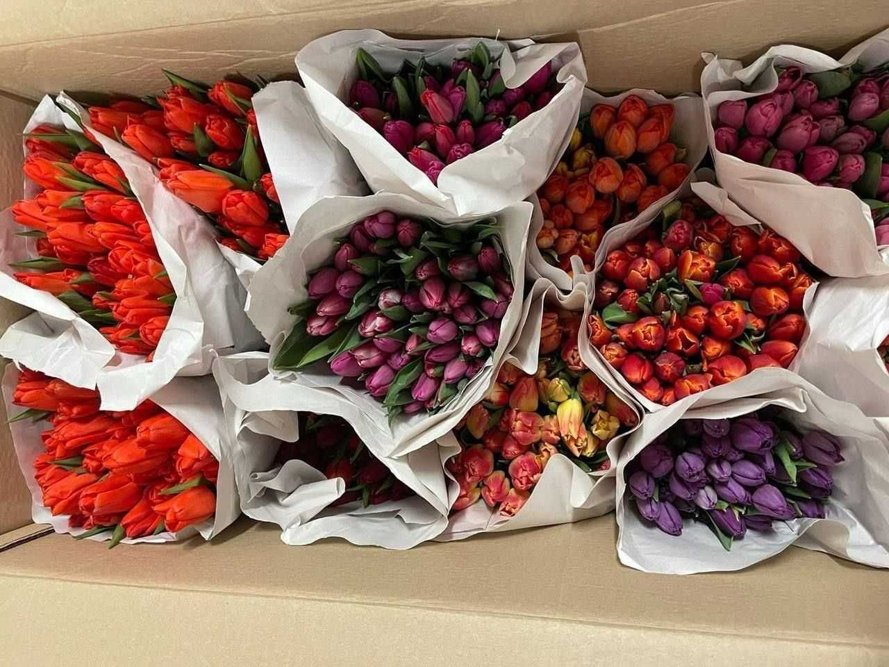 Тюльпаны тепличные к 8 МАРТА