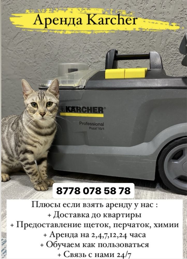Аренда пылесос моющийй Karcher