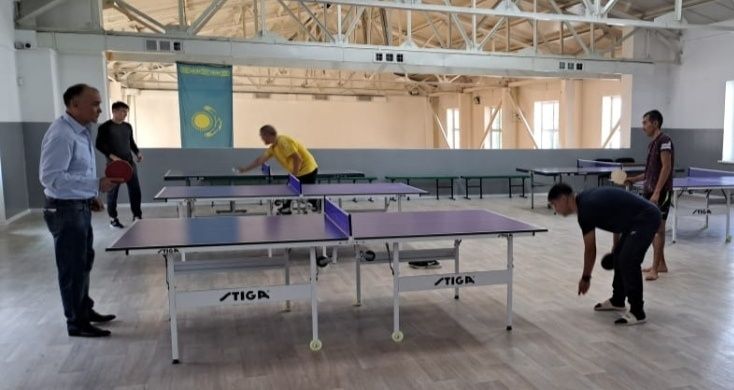 Теннисный стол Ping pong