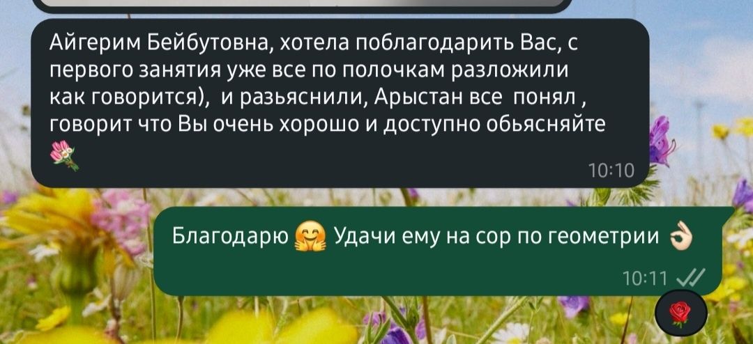 Репетитор Физики, Алгебры и Геометрии