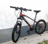 Phoenix 24 размер