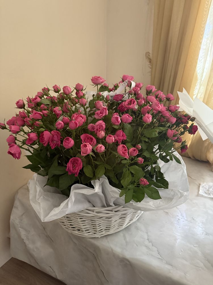Продам цветы L размер