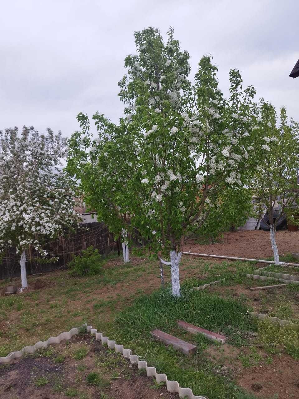Продам дом на 22-микрорайоне